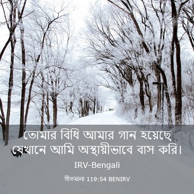 Picture 03 - গীতমালা 119:54 BENIRV - তোমার বিধি আমার - Bible Verse Picture