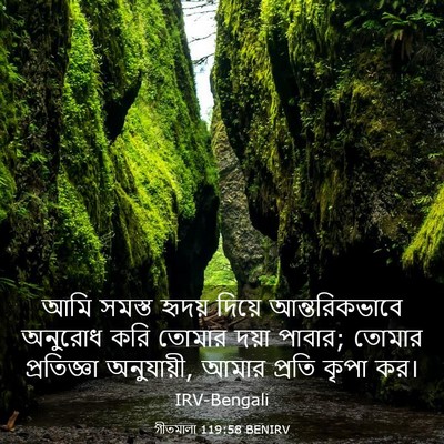 Picture 03 - গীতমালা 119:58 BENIRV - আমি সমস্ত হৃদয় - Bible Verse Picture