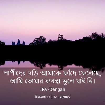Picture 03 - গীতমালা 119:61 BENIRV - পাপীদের দড়ি - Bible Verse Picture