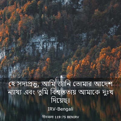 Picture 03 - গীতমালা 119:75 BENIRV - হে সদাপ্রভুু, আমি - Bible Verse Picture