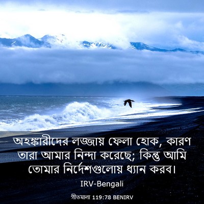 Picture 03 - গীতমালা 119:78 BENIRV - অহঙ্কারীদের - Bible Verse Picture