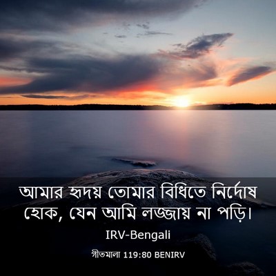 Picture 03 - গীতমালা 119:80 BENIRV - আমার হৃদয় তোমার - Bible Verse Picture