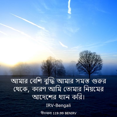Picture 03 - গীতমালা 119:99 BENIRV - আমার বেশি বুদ্ধি - Bible Verse Picture