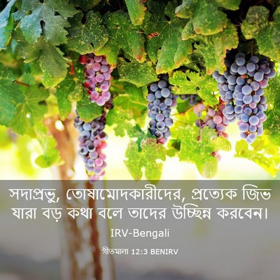 Picture 03 - গীতমালা 12:3 BENIRV - সদাপ্রভুু, - Bible Verse Picture
