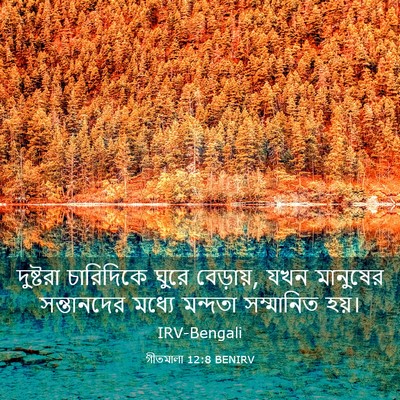 Picture 03 - গীতমালা 12:8 BENIRV - দুষ্টরা চারিদিকে - Bible Verse Picture