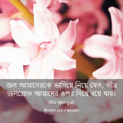 Picture 03 - গীতমালা 124:4 BENIRV - জল আমাদেরকে - Bible Verse Picture
