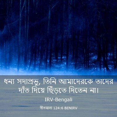 Picture 03 - গীতমালা 124:6 BENIRV - ধন্য সদাপ্রভুু, - Bible Verse Picture