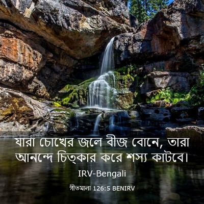 Picture 03 - গীতমালা 126:5 BENIRV - যারা চোখের জলে বীজ - Bible Verse Picture