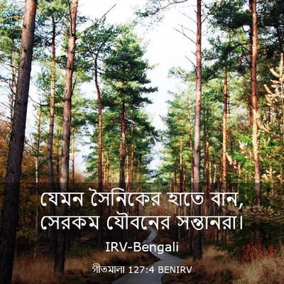 Picture 03 - গীতমালা 127:4 BENIRV - যেমন সৈনিকের হাতে - Bible Verse Picture