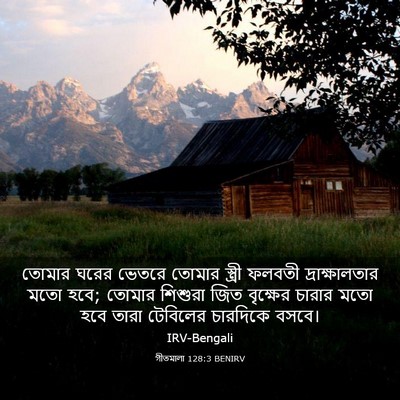 Picture 03 - গীতমালা 128:3 BENIRV - তোমার ঘরের ভেতরে - Bible Verse Picture