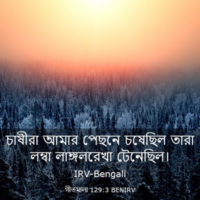 Picture 03 - গীতমালা 129:3 BENIRV - চাষীরা আমার পেছনে - Bible Verse Picture