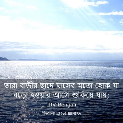 Picture 03 - গীতমালা 129:6 BENIRV - তারা বাড়ীর ছাদে - Bible Verse Picture