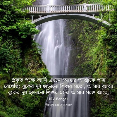 Picture 03 - গীতমালা 131:2 BENIRV - প্রকৃত পক্ষে আমি - Bible Verse Picture