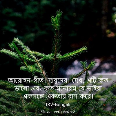 Picture 03 - গীতমালা 133:1 BENIRV - আরোহন-গীত। - Bible Verse Picture