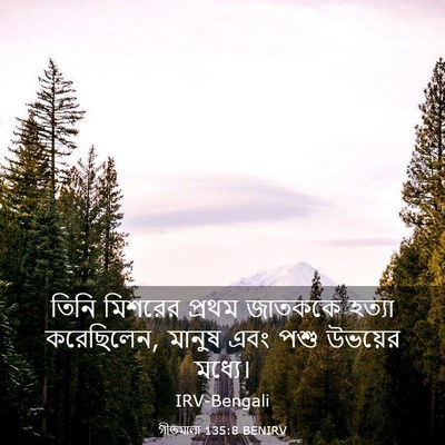Picture 03 - গীতমালা 135:8 BENIRV - তিনি মিশরের প্রথম - Bible Verse Picture