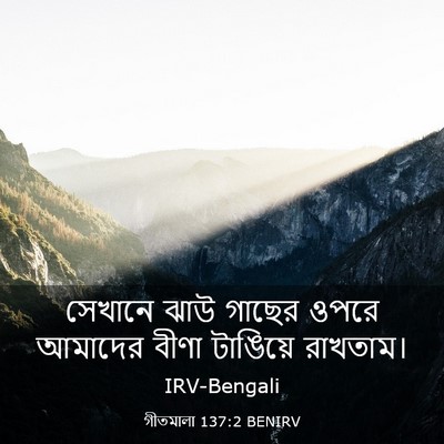 Picture 03 - গীতমালা 137:2 BENIRV - সেখানে ঝাউ গাছের - Bible Verse Picture