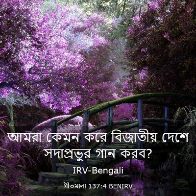 Picture 03 - গীতমালা 137:4 BENIRV - আমরা কেমন করে - Bible Verse Picture
