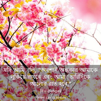Picture 03 - গীতমালা 139:11 BENIRV - যদি আমি বলি, - Bible Verse Picture