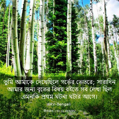 Picture 03 - গীতমালা 139:16 BENIRV - তুমি আমাকে - Bible Verse Picture