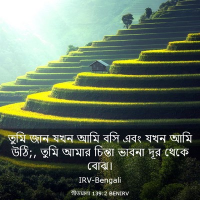 Picture 03 - গীতমালা 139:2 BENIRV - তুমি জান যখন আমি - Bible Verse Picture