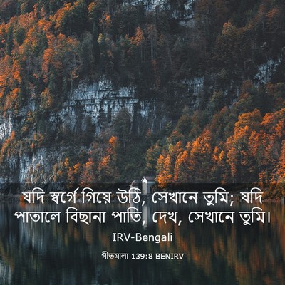 Picture 03 - গীতমালা 139:8 BENIRV - যদি স্বর্গে গিয়ে - Bible Verse Picture