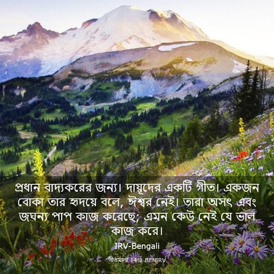 Picture 03 - গীতমালা 14:1 BENIRV - প্রধান বাদ্যকরের - Bible Verse Picture