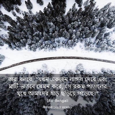 Picture 03 - গীতমালা 141:7 BENIRV - তারা বলবে, “যখন - Bible Verse Picture