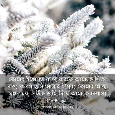 Picture 03 - গীতমালা 143:10 BENIRV - তোমার ইচ্ছামত কাজ - Bible Verse Picture