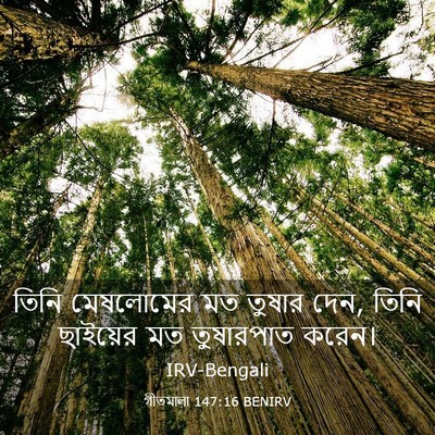 Picture 03 - গীতমালা 147:16 BENIRV - তিনি মেষলোমের মত - Bible Verse Picture