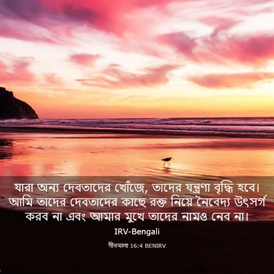 Picture 03 - গীতমালা 16:4 BENIRV - যারা অন্য - Bible Verse Picture