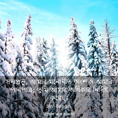 Picture 03 - গীতমালা 16:5 BENIRV - সদাপ্রভুু, আমার - Bible Verse Picture