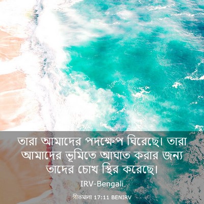 Picture 03 - গীতমালা 17:11 BENIRV - তারা আমাদের - Bible Verse Picture