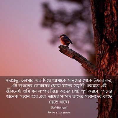 Picture 03 - গীতমালা 17:14 BENIRV - সদাপ্রভুু, তোমার - Bible Verse Picture