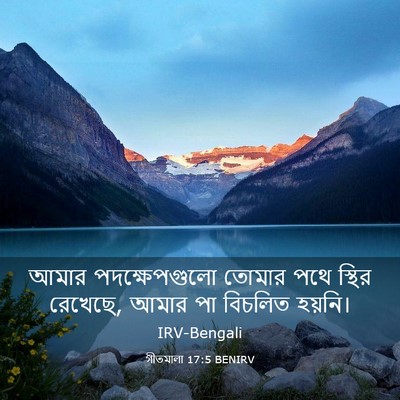 Picture 03 - গীতমালা 17:5 BENIRV - আমার পদক্ষেপগুলো - Bible Verse Picture