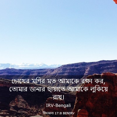 Picture 03 - গীতমালা 17:8 BENIRV - চোখের মণির মত - Bible Verse Picture