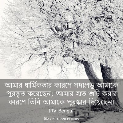 Picture 03 - গীতমালা 18:20 BENIRV - আমার ধার্মিকতার - Bible Verse Picture