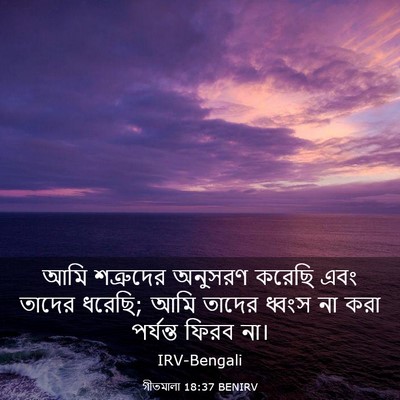 Picture 03 - গীতমালা 18:37 BENIRV - আমি শত্রুদের - Bible Verse Picture
