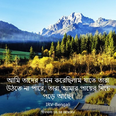 Picture 03 - গীতমালা 18:38 BENIRV - আমি তাদের দমন - Bible Verse Picture