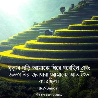 Picture 03 - গীতমালা 18:4 BENIRV - মৃত্যুর দড়ি - Bible Verse Picture
