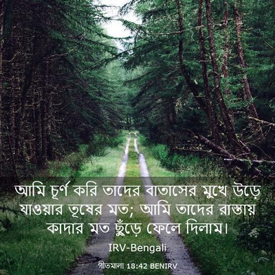 Picture 03 - গীতমালা 18:42 BENIRV - আমি চূর্ণ করি - Bible Verse Picture