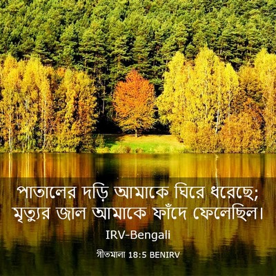 Picture 03 - গীতমালা 18:5 BENIRV - পাতালের দড়ি - Bible Verse Picture