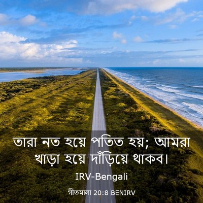 Picture 03 - গীতমালা 20:8 BENIRV - তারা নত হয়ে পতিত - Bible Verse Picture