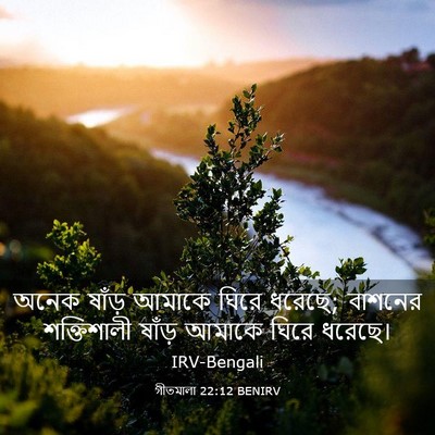 Picture 03 - গীতমালা 22:12 BENIRV - অনেক ষাঁড় আমাকে - Bible Verse Picture