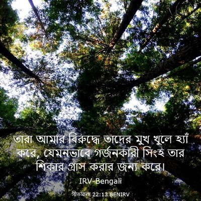 Picture 03 - গীতমালা 22:13 BENIRV - তারা আমার - Bible Verse Picture