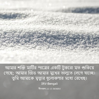 Picture 03 - গীতমালা 22:15 BENIRV - আমার শক্তি মাটির - Bible Verse Picture
