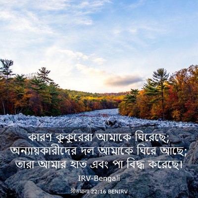 Picture 03 - গীতমালা 22:16 BENIRV - কারণ কুকুরেরা - Bible Verse Picture