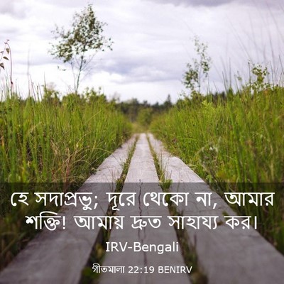Picture 03 - গীতমালা 22:19 BENIRV - হে সদাপ্রভুু; দূরে - Bible Verse Picture