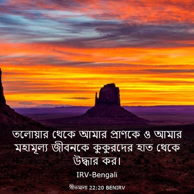 Picture 03 - গীতমালা 22:20 BENIRV - তলোয়ার থেকে আমার - Bible Verse Picture