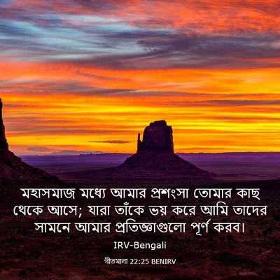 Picture 03 - গীতমালা 22:25 BENIRV - মহাসমাজ মধ্যে - Bible Verse Picture