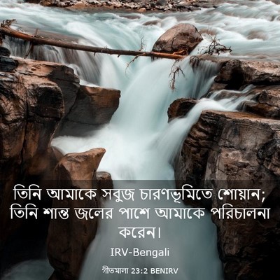 Picture 03 - গীতমালা 23:2 BENIRV - তিনি আমাকে সবুজ - Bible Verse Picture